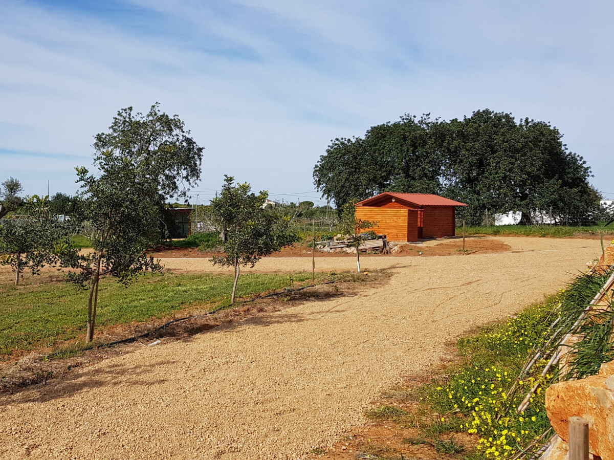 Casa de férias 'Quinta da Bornacha - C' com vista para o mar, piscina partilhada e Wi-Fi